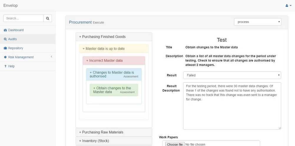 An example of an audit excution page.